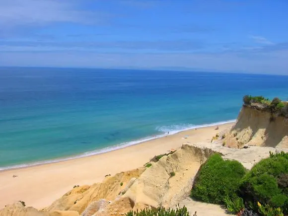 King's 알부페이라